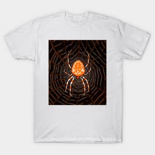 Pumpkin colored spider in black spider house on halloween T-Shirt